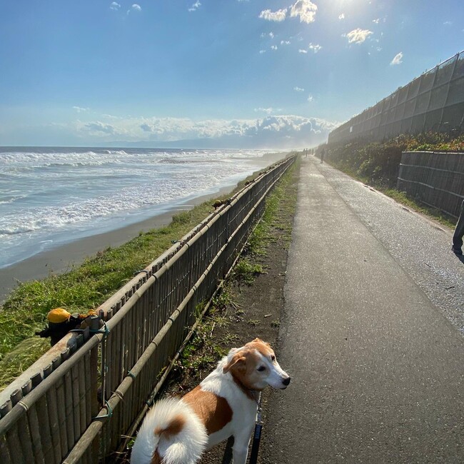 まなぞうのカバー写真