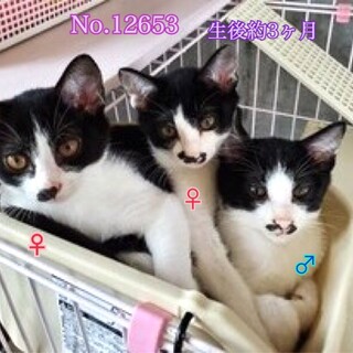 保護されました。