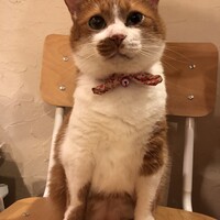 うに