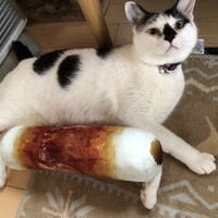 ちゅん
