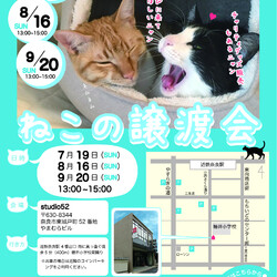 猫の譲渡会