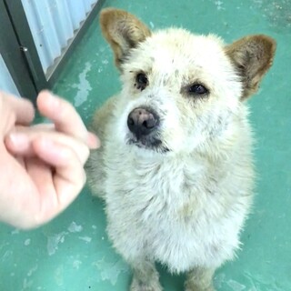 センターにて譲渡されました