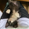 元気になった男の子です