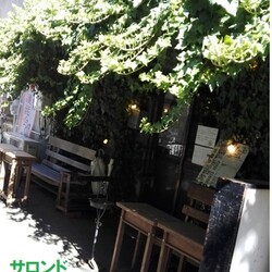 子猫が沢山参加「ねこの幸せさがし」譲渡会 サムネイル2