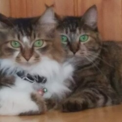 わかちゃん＆わこちゃん母娘