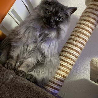 急募です！よろしくお願いします。