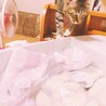の写真