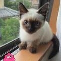 ありがとうございますm(_ _)m