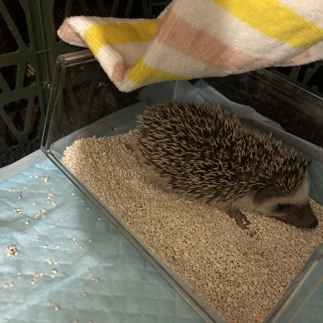 nahuyu.mのカバー写真