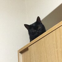 ナオ