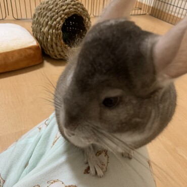 の写真