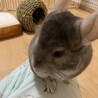 の写真