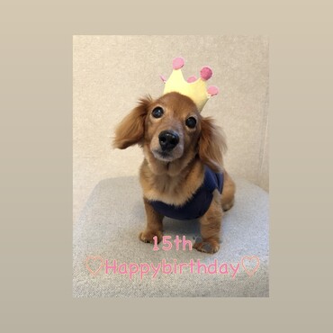 2020/07/16 ♡birthday♡