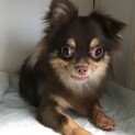 お問い合わせ多数の為、一旦ストップさせて頂きます。