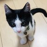 7月17日