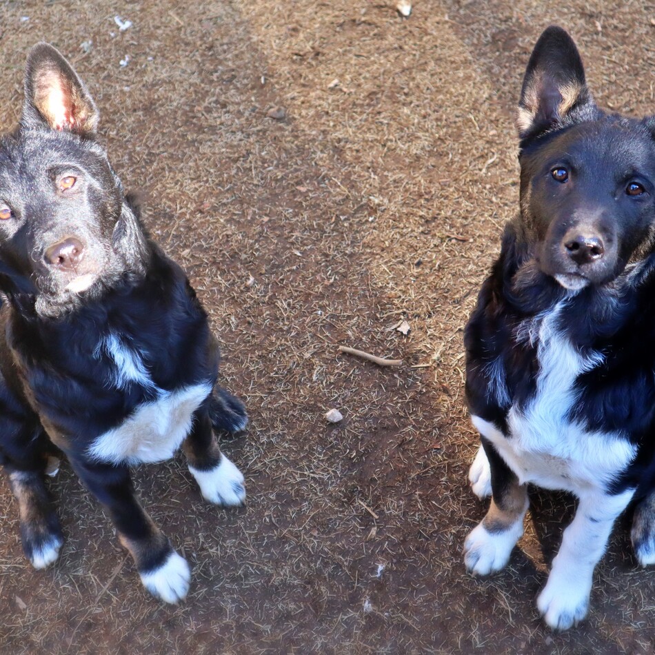 スポットのカバー写真