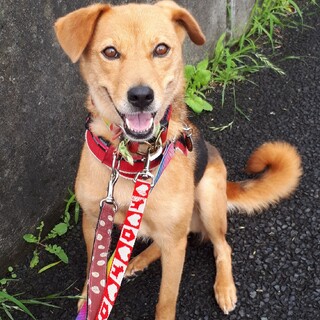 優しくて甘えん坊な女の子「ももこ」