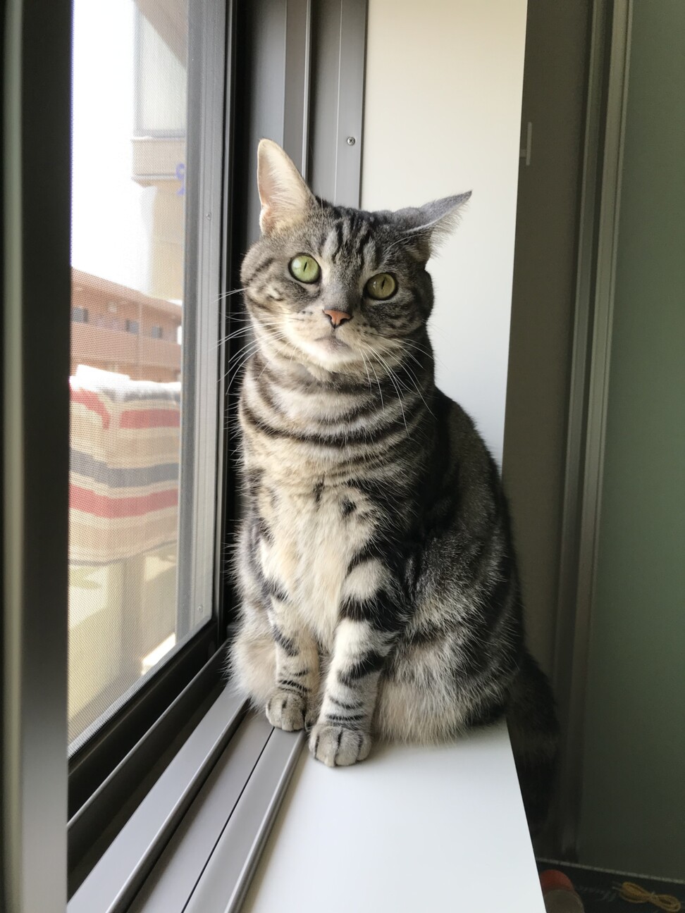 ラル