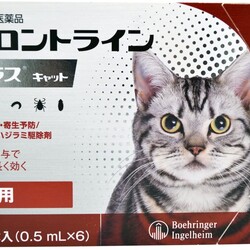 ７回目のフロントライン