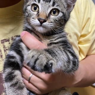 お陰様で良い里親さんが見つかりました