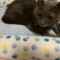くぅ
