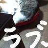 の写真