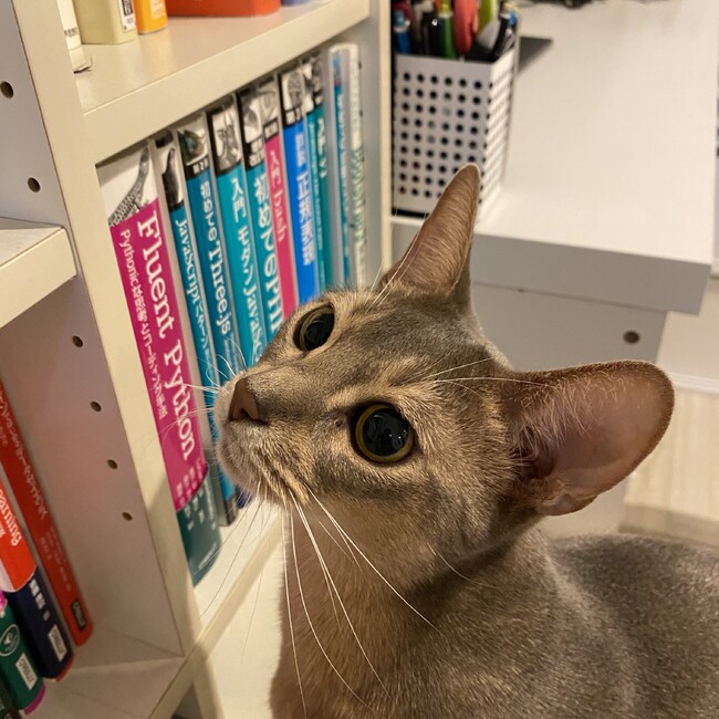 なごすけのカバー写真