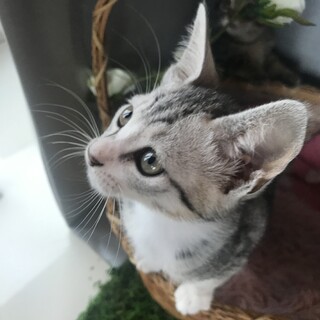 クールな顔立ちのイケメンくん✨