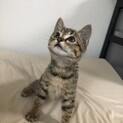 ヤムチャ君　２か月