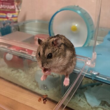 の写真