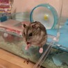 の写真