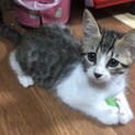 恥ずかしがりの甘えん坊男の子♪