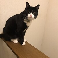 ニック