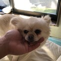 よろしくお願いします。