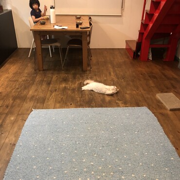 の写真