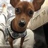  さん