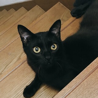 みいなとゆうな一緒のお家を探してます❣️