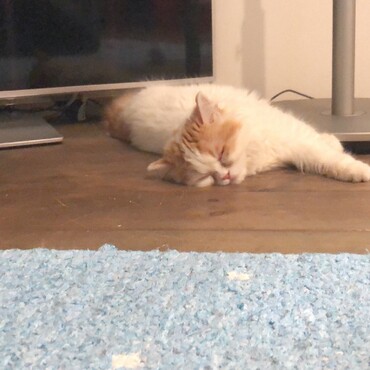 の写真