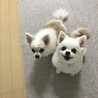  さん