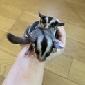 決まりました。ありがとうございました