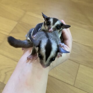 決まりました。ありがとうございました