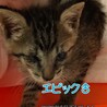 里親決定しました サムネイル2