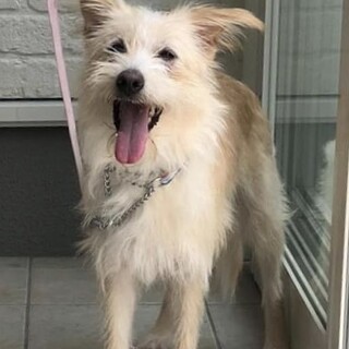 人懐っこくてあまえんぼうのて美ちゃん♀