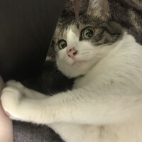 リクちゃん