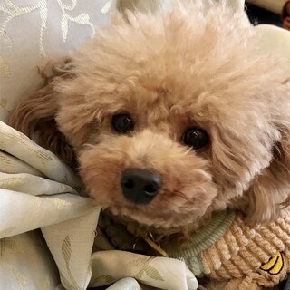 たけお ベビーフェイスの穏やかな男の子