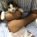 トライアル中です♪
