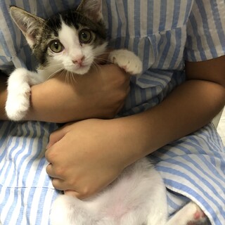 トライアル中です♪