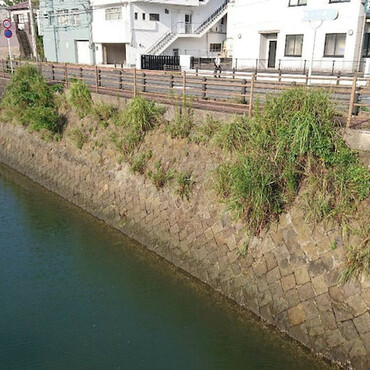 こんなトコで鳴いてました！
