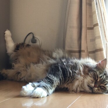 足上がってます