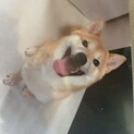 元気で笑顔が可愛い、お利口さん